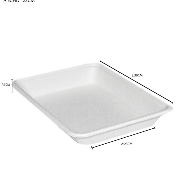 BANDEJA 30cm x 23cm x 3cm