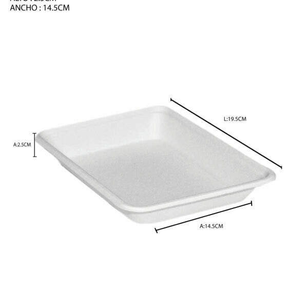 BANDEJA 19,5cm x14,5cm x 2,5cm