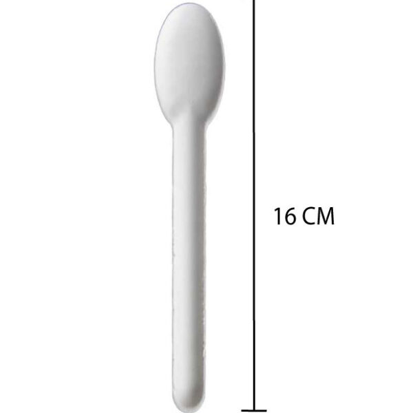 CUCHARA PULPA CAÑA DE AZUCAR BLANCO