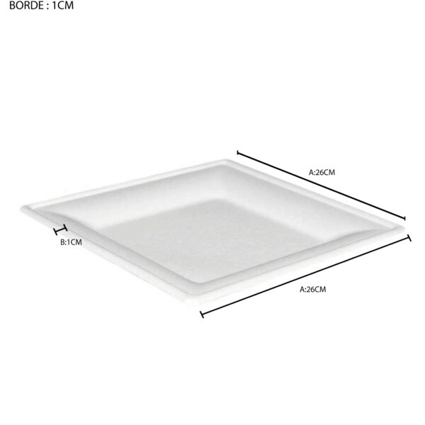 PLATO CUADRADO 26 x 26 x 1