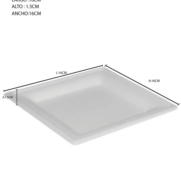 PLATO CUADRADO 15 x 15 x 1,5