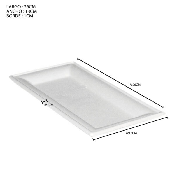 PLATO RECTANGULAR 26 x 13 x 1